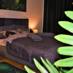 Ummagumma Apartament
